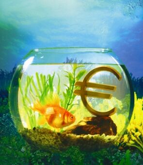 аквариум със златни рибки за привличане на пари